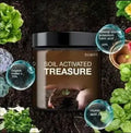 Soil Activated Treasure – Premium Soil Activator & Organic Soil Improver (Pack of 2)